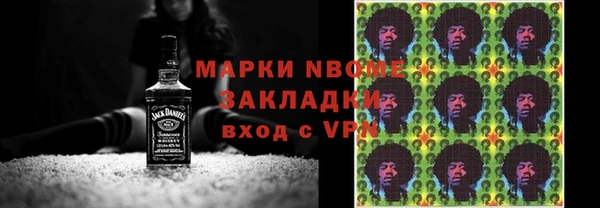ECSTASY Бородино
