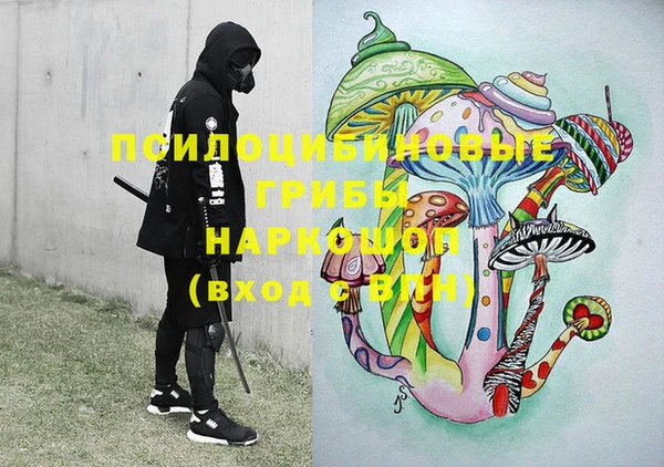 тгк Медногорск