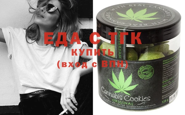 ECSTASY Бородино