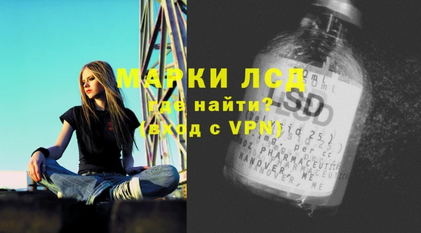 ECSTASY Бородино