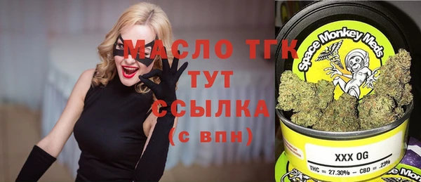 ECSTASY Бородино