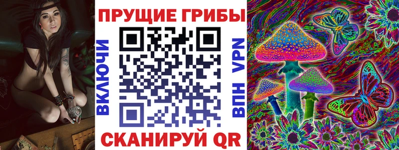 даркнет сайт  Вытегра  Псилоцибиновые грибы прущие грибы 